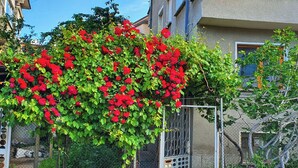 Un jardin avec des fleurs rouges et un portail en métal.