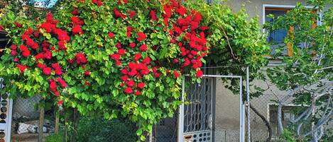 DĂ©tail de lâextĂ©rieur