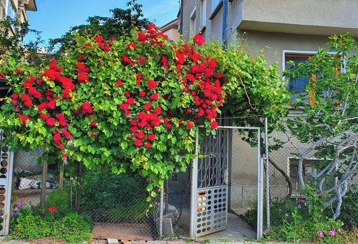 Image de profil de l’hôte