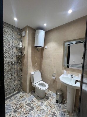 Hair dryer, towels, soap, toilet paper