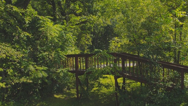 A wooden deck surrounded by dense green foliage. - Twisted House (Arkansaw)
