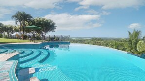 Una amplia piscina infinita de diseño curvo, rodeada por un césped cuidado y palmeras.