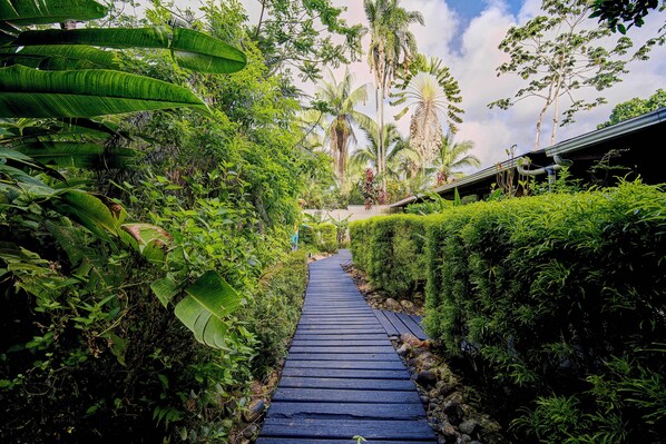 Exterior - Villas Kiki (Puerto Viejo de Talamanca)