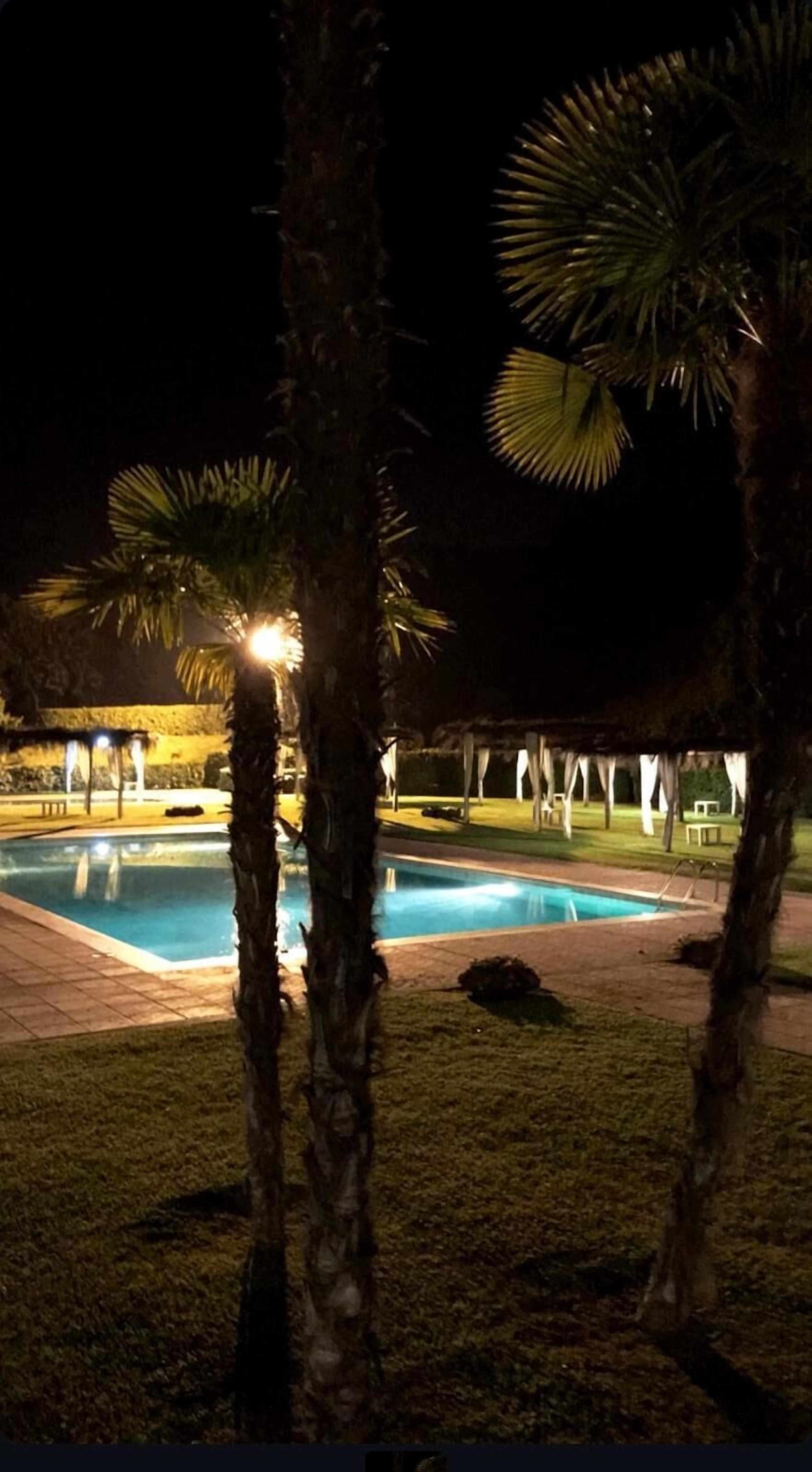 Seasonal outdoor pool, open 9:00 AM to 7:00 PM, pool umbrellas