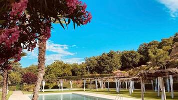 Seasonal outdoor pool, open 9:00 AM to 7:00 PM, pool umbrellas
