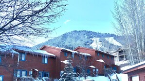 Un conjunto de edificios con tejados rojos y numerosas ventanas, rodeado de árboles cubiertos de nieve y una montaña al fondo.