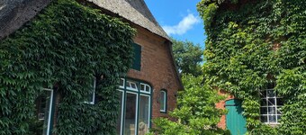 Cozy apartment for trips between the seas. Pet friendly!