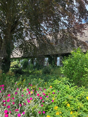 Gemütliche Wohnung für Ausflüge zwischen den Meeren. Haustierfreundlich!