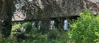 Cozy apartment for trips between the seas. Pet friendly!