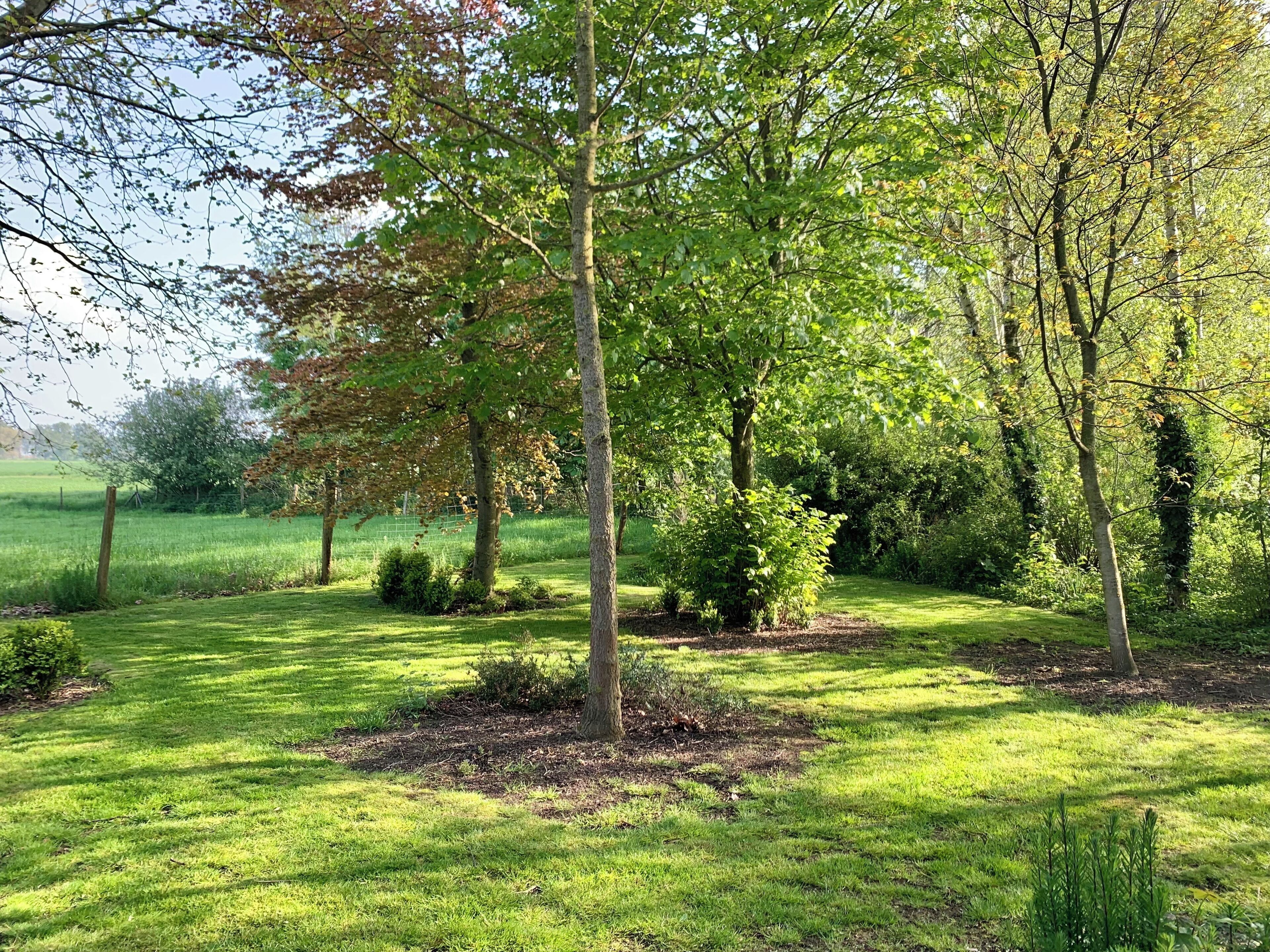 A well-maintained park with a variety of trees and a grassy area.