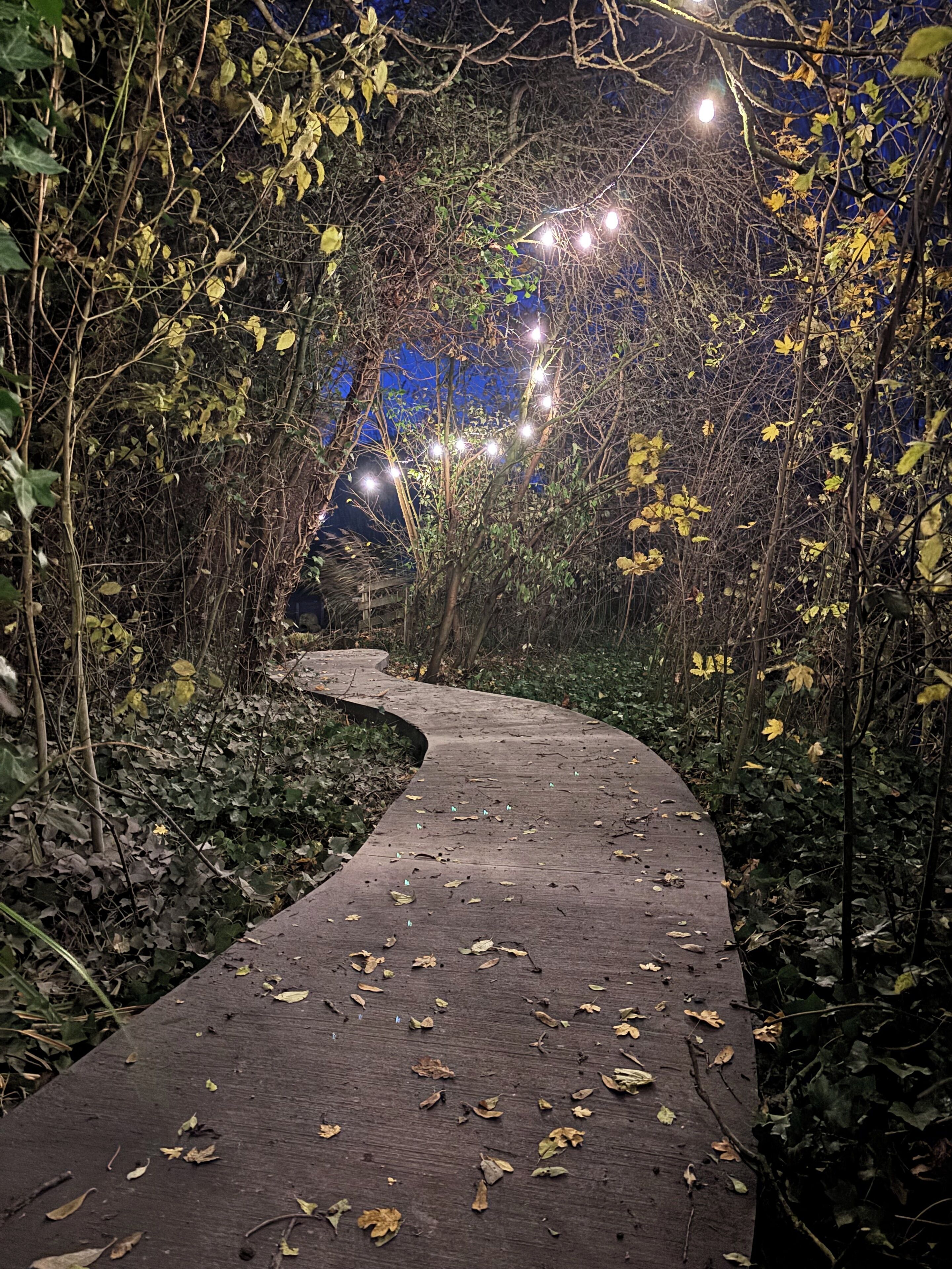Een verlicht pad 's nachts, omringd door weelderige begroeiing en sfeervolle lichtjes.