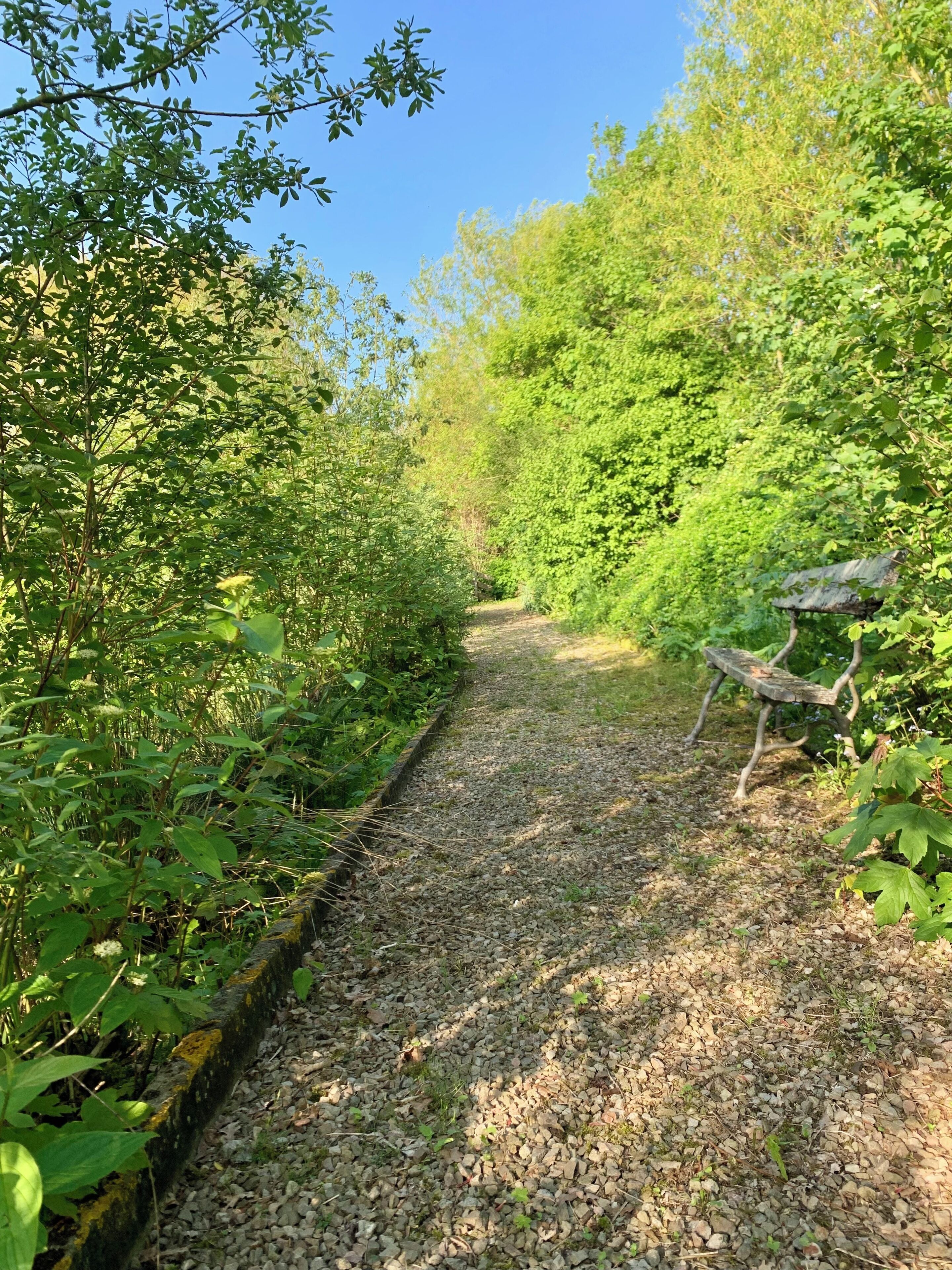A gravel path flanked by dense greenery and a rustic wooden structure.