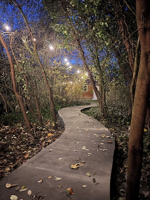 Ein gewundener Weg durch ein bewaldetes Gebiet mit Lichterketten darüber.