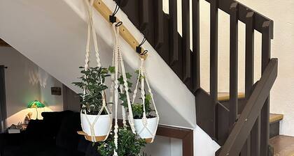 Authentic Alaskan Northern Lights Lodge in the Hills of Fairbanks