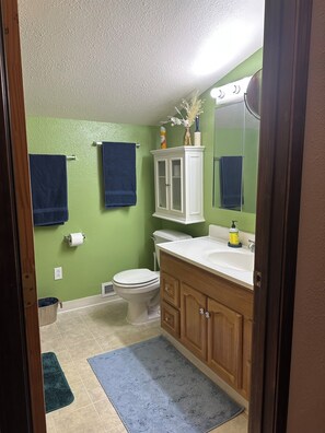 Regadera, amenidades de baño ecológicas, secadora de cabello, toallas 