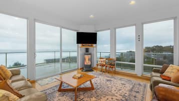 Smart TV, fireplace, books