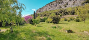 A grassy outdoor area with trees and a mountain in the background. - le Pitchounet, gite for 2 _ Lacets Ventoux (Beaumont-du-Ventoux)