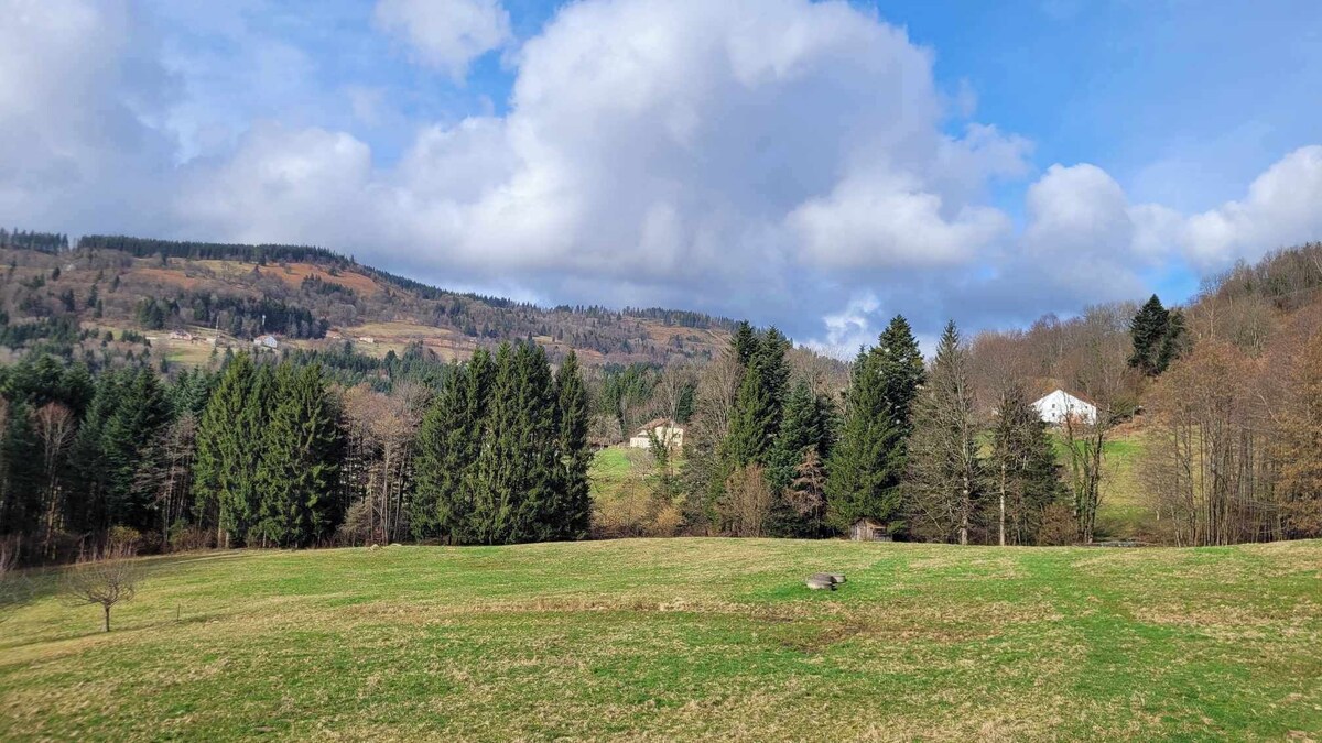 オーナーのプロフィール画像