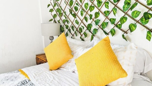 A neatly made bed with white bedding and two yellow pillows, a bedside lamp, and a wall decorated with green leafy vines. - Mexican Cozy Apartment (Puerto Vallarta)
