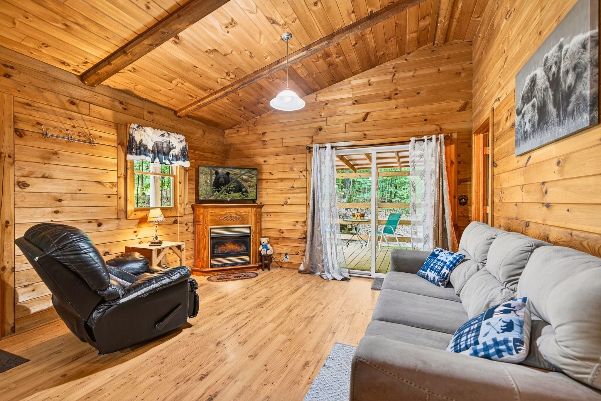 TV, fireplace