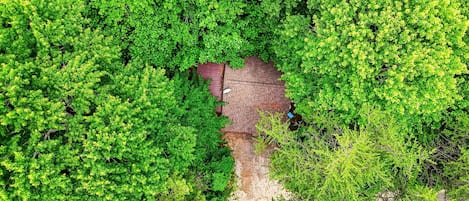 A house surrounded by dense green foliage.