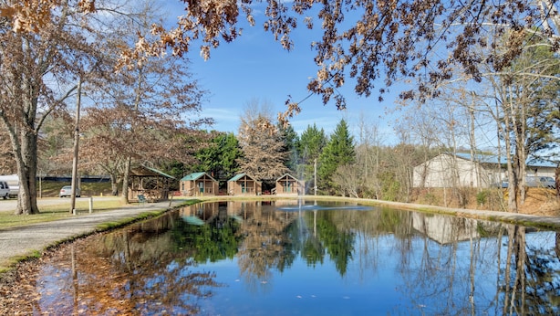 Ein ruhiger Teich mit Spiegelungen von Bäumen und Gebäuden, umgeben von einem Park mit Picknicktischen und blauem Himmel.