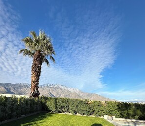 Property grounds - HUGE PRICE REDUCTION!!!!
 Unobstructed San Jacinto Mountain Views  Pool, Spa (Palm Springs)