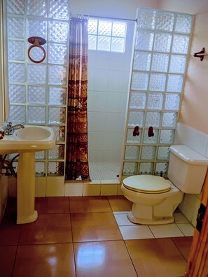 Shower, jetted tub, bidet, towels