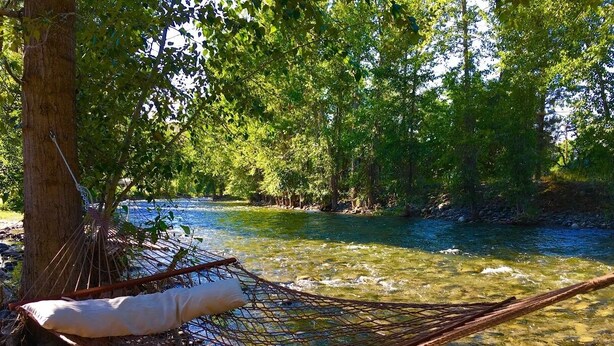 Un hamac attaché à un arbre au bord d’une rivière, avec un coussin dessus.