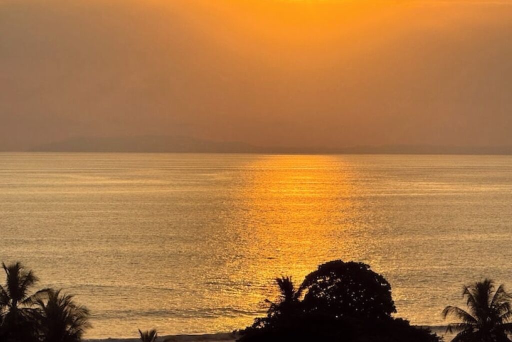 A sunset over a calm sea with silhouettes of palm trees.