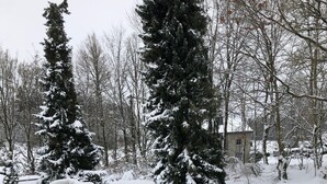 A snow-covered pathway with a metal railing, surrounded by snow-laden trees and a building in the background. - Quiet gîte between hills and forest. Sauna and pets welcome. (Bièvre)