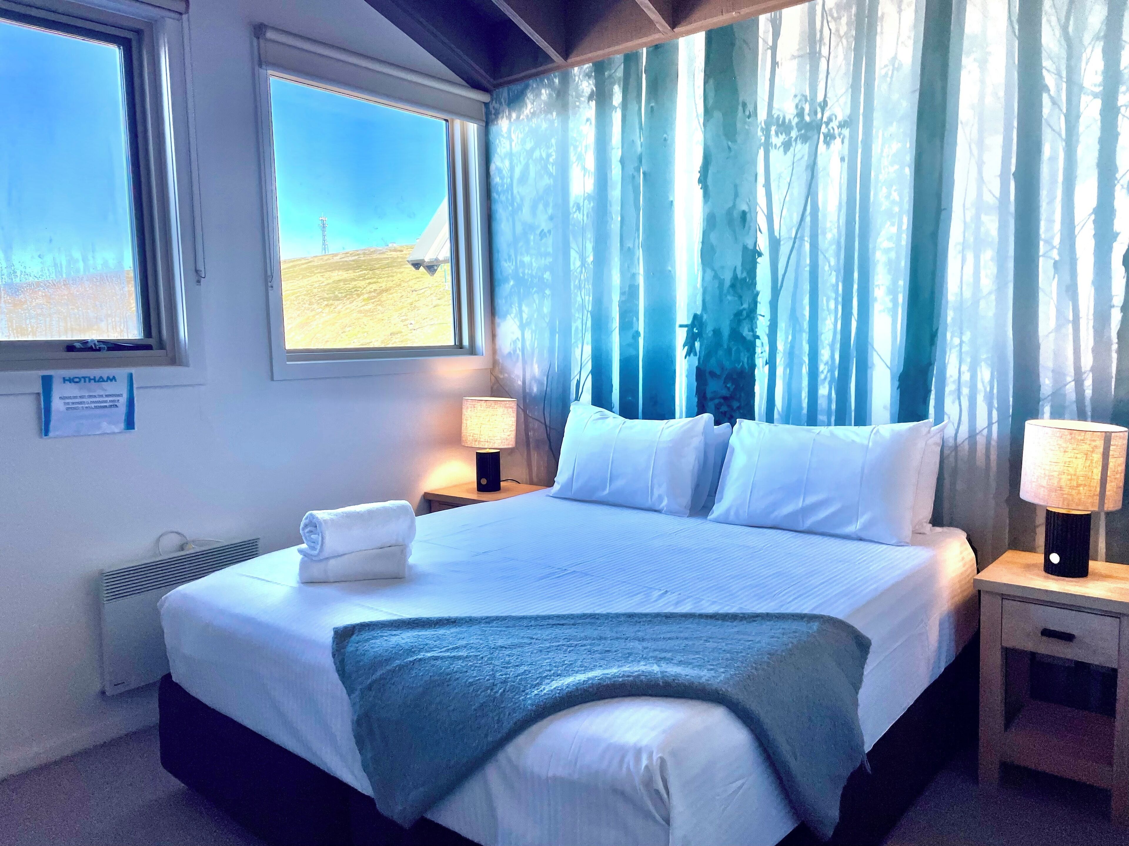 Ferros/tábuas de passar roupa, acesso à internet