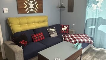 TV connectée, cheminée, lecteur de DVD, livres