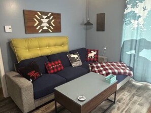 Téléviseur connecté, foyer, lecteur de DVD, livres