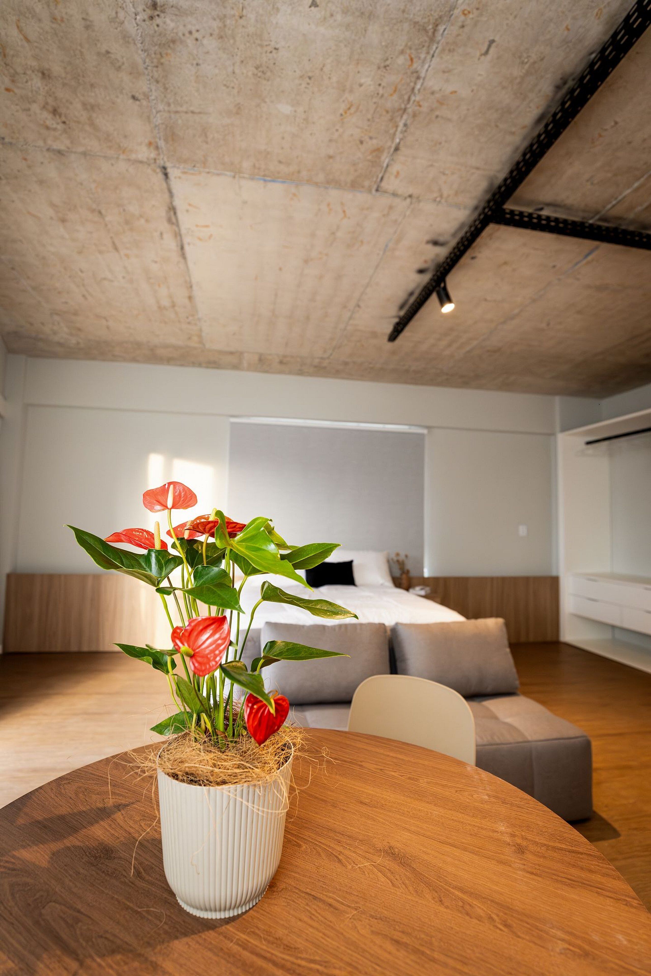 Deluxe Apartment | 1 bedroom