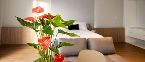 Leilighet – deluxe | 1 soverom