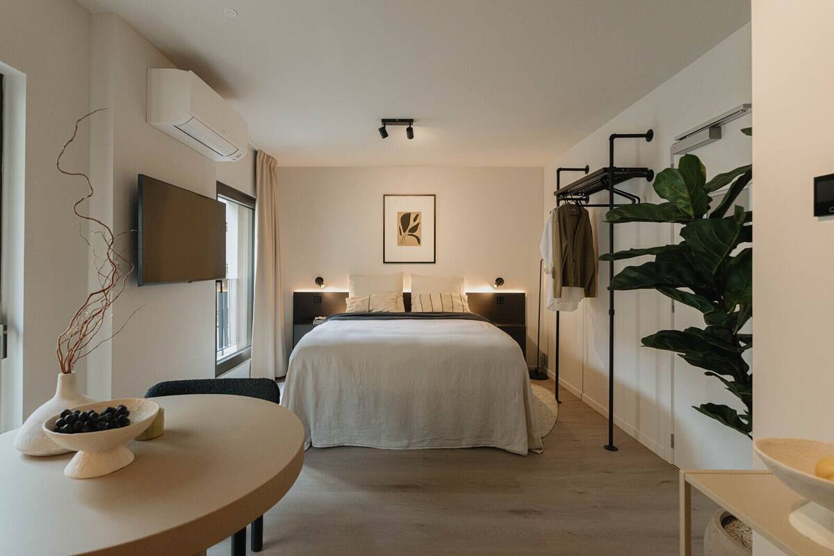 Une chambre d’hôtel moderne équipée d’un lit, de lampes de chevet, d’un téléviseur à écran plat, d’une grande plante et d’une petite table sur laquelle se trouve un bol d’olives.