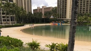 Un hotel sulla spiaggia con spiaggia sabbiosa, palme e grattacieli sullo sfondo.