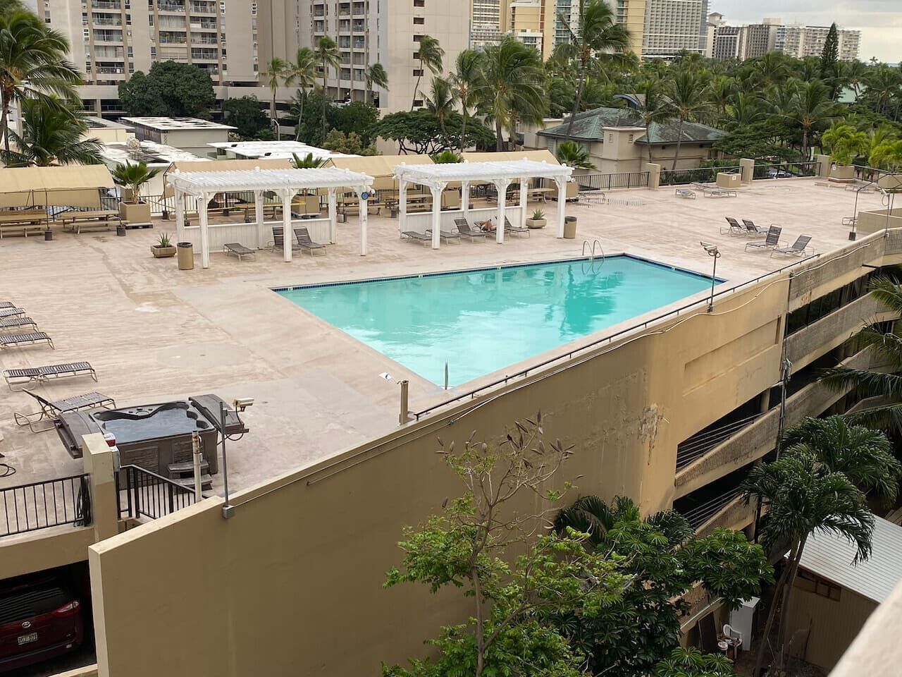 A rooftop pool with lounge chairs and umbrellas, surrounded by palm trees and high-rise buildings.
