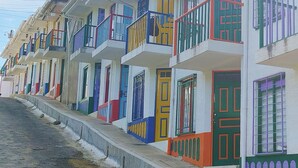 Fila de edifícios residenciais coloridos com sacadas e uma palmeira ao fundo.