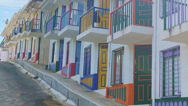 Une rangée d’immeubles résidentiels aux couleurs vives, dotés de balcons, avec un palmier en arrière-plan.