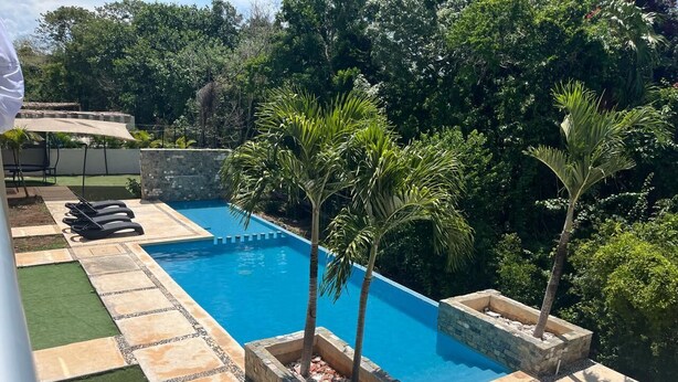 Une piscine bordée de palmiers, une terrasse en pierre et une pelouse.