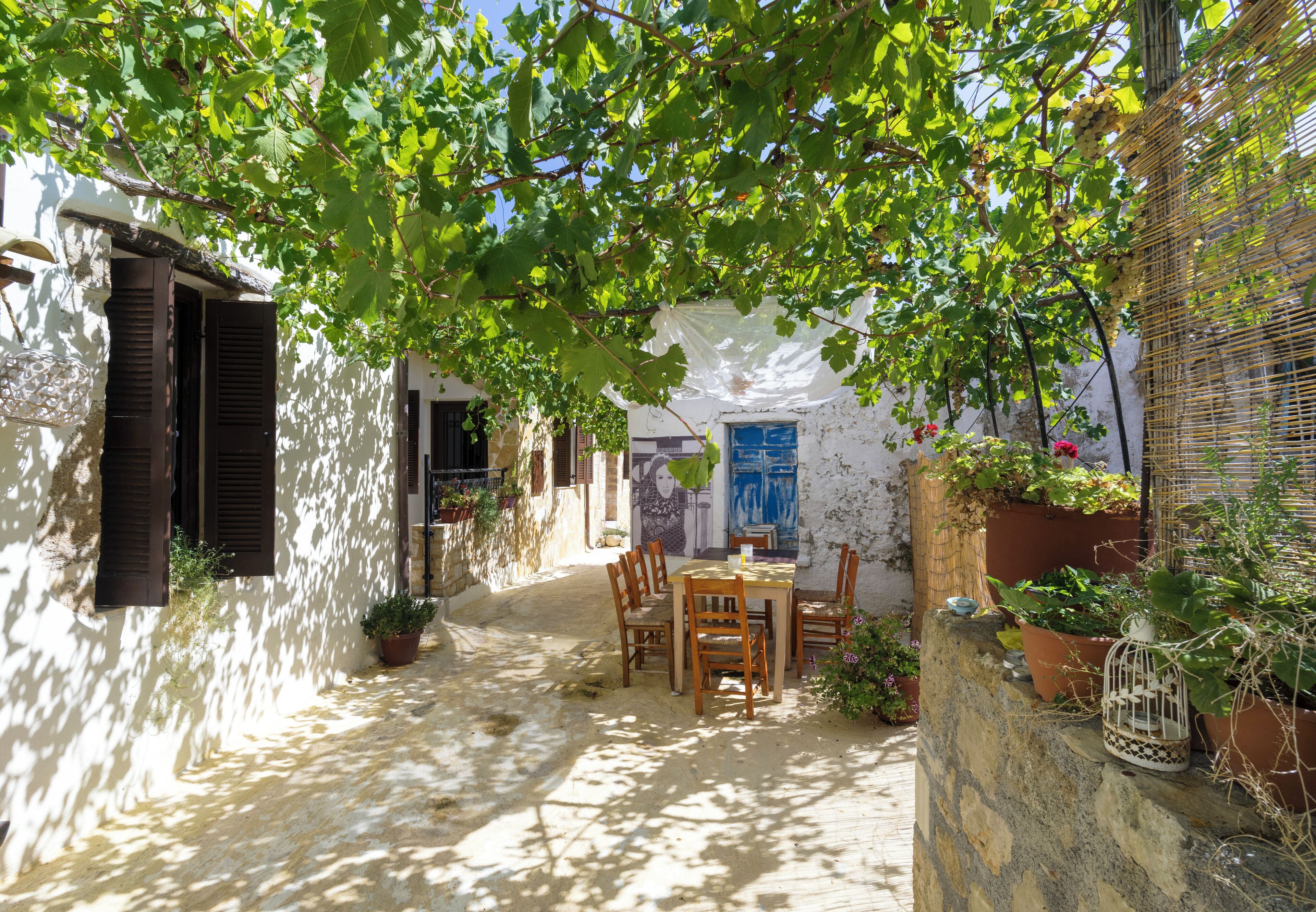 室外用餐