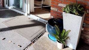 Een moderne entree met een glazen deur naar een leefruimte, een bakstenen muur en een potplant.