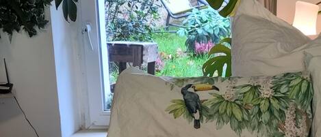 AccĂšs Internet, draps fournis