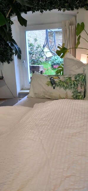 Internet y ropa de cama 