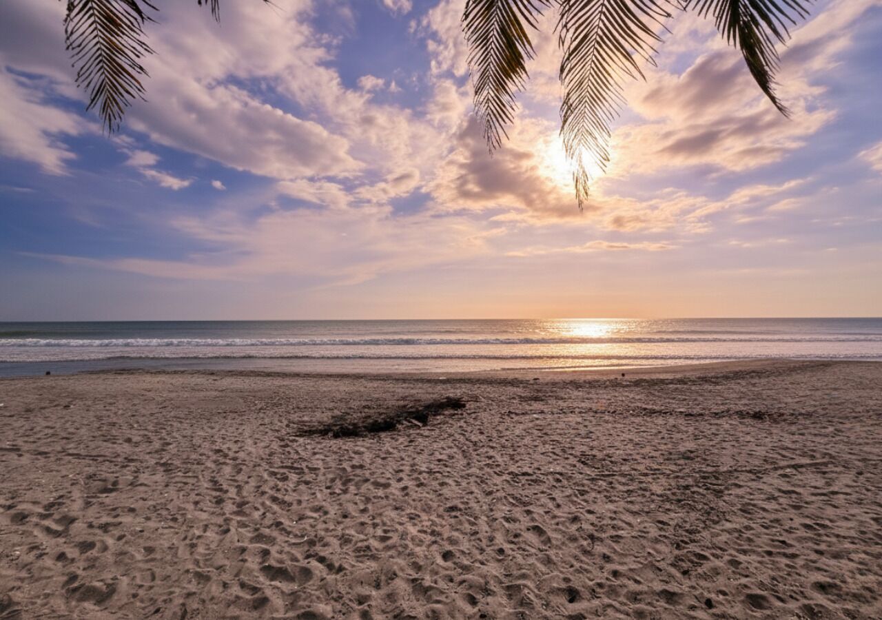 Classic House | Beach | On the beach