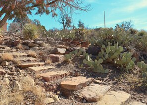 A rocky terrain with sparse vegetation and a cactus in the foreground.