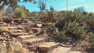 Área da propriedade