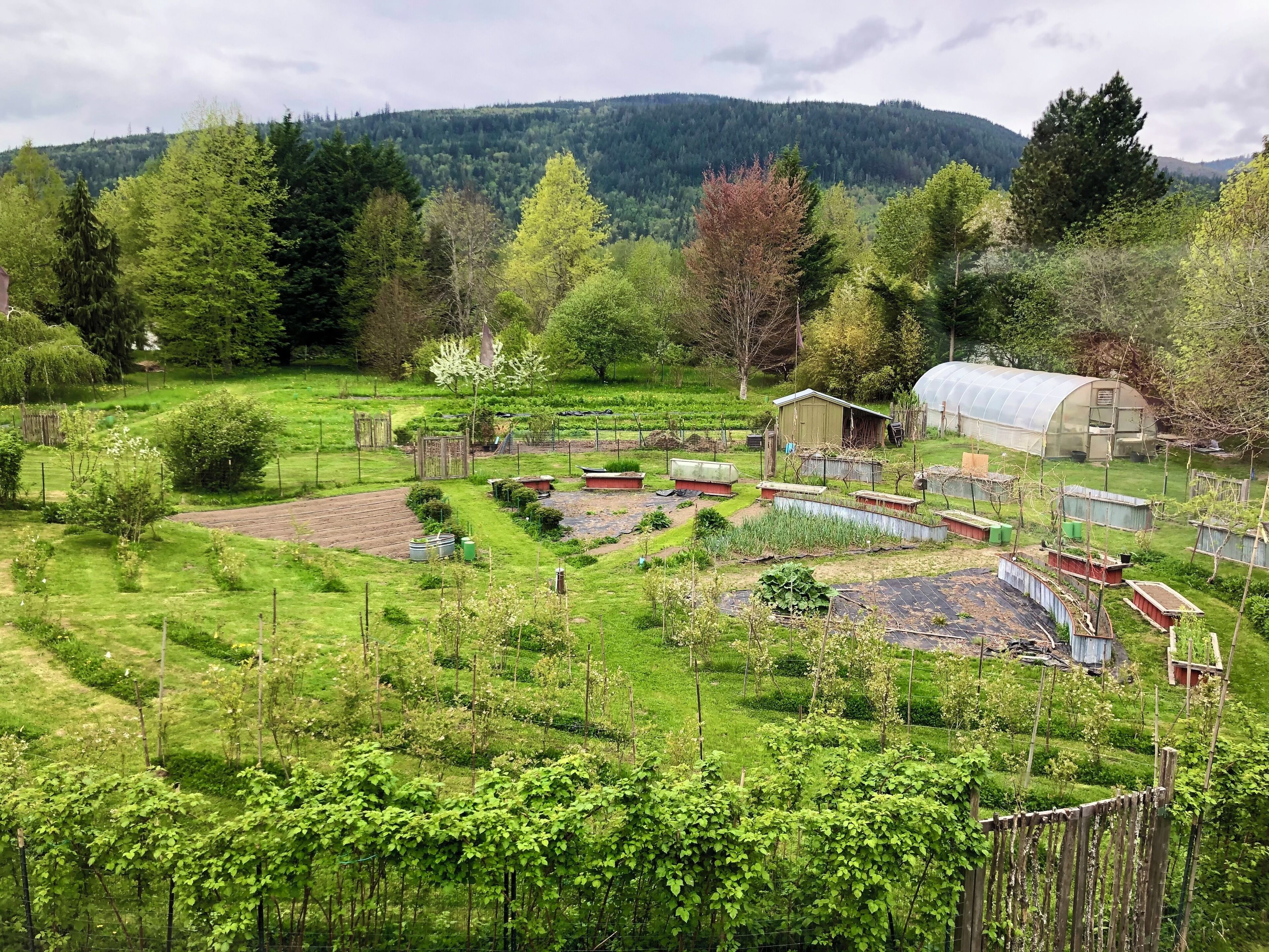 Enceinte de l’hébergement